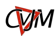 CVJM Logo